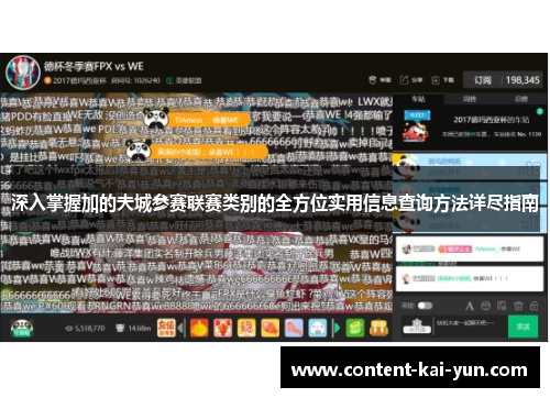 深入掌握加的夫城参赛联赛类别的全方位实用信息查询方法详尽指南