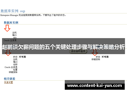 赵鹏谈欠薪问题的五个关键处理步骤与解决策略分析